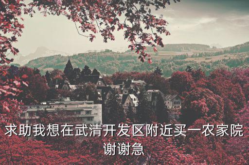 求助我想在武清開發(fā)區(qū)附近買一農(nóng)家院謝謝急