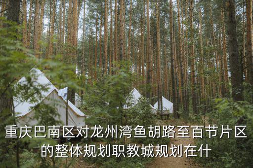 重慶巴南區對龍州灣魚胡路至百節片區的整體規劃職教城規劃在什