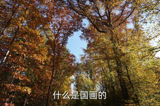 什么是國(guó)畫(huà)的