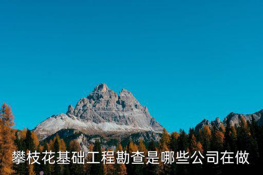 攀枝花基礎工程勘查是哪些公司在做