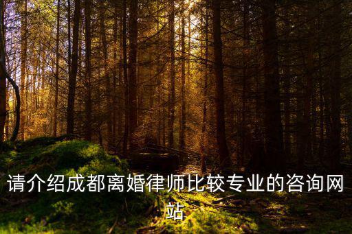 請介紹成都離婚律師比較專業的咨詢網站