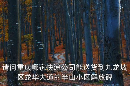 請問重慶哪家快遞公司能送貨到九龍坡區龍華大道的半山小區解放碑