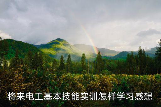 將來電工基本技能實訓怎樣學習感想