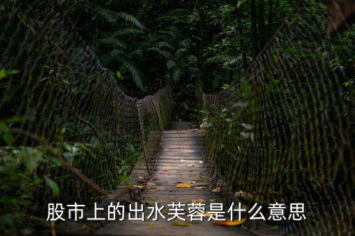 股市上的出水芙蓉是什么意思