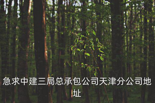 天津市中建三局賀德成，急求中建三局總承包公司天津分公司地址