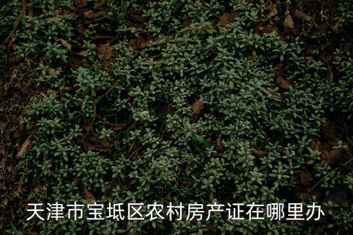天津市寶坻區農村房產證在哪里辦