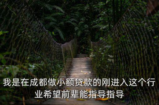 我是在成都做小額貸款的剛進入這個行業希望前輩能指導指導