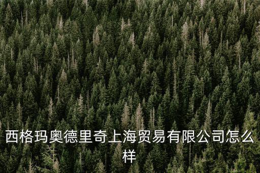 西格瑪奧德里奇上海貿易有限公司怎么樣