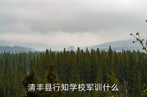 重慶市行知學校軍訓，行知職高什么時候軍訓啦嘿嘿