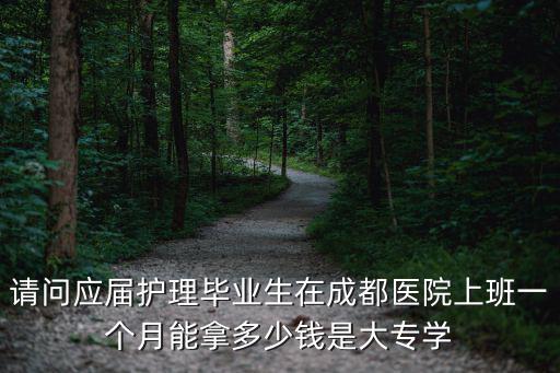 請問應(yīng)屆護理畢業(yè)生在成都醫(yī)院上班一個月能拿多少錢是大專學