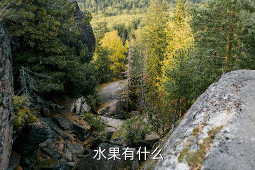  水果有什么
