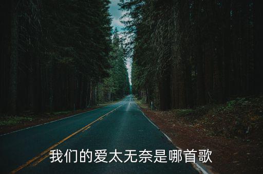 我們的愛太無(wú)奈是哪首歌