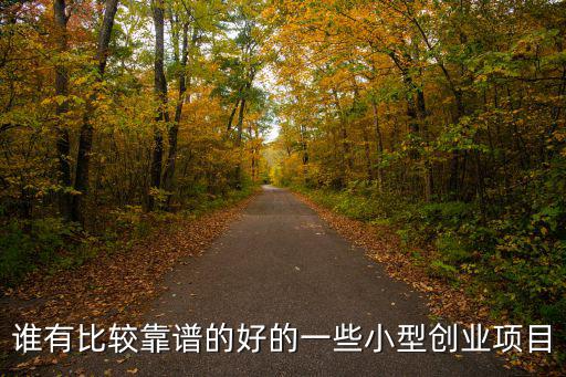 誰有比較靠譜的好的一些小型創業項目