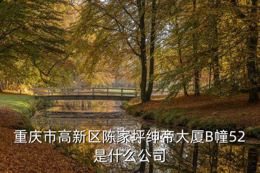 重慶市高新區陳家坪紳帝大廈B幢52是什么公司