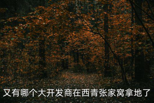 天津市2017年開發商拿地，新里城93年拿地2017年交房那怎么算