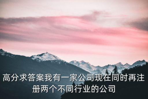 高分求答案我有一家公司現(xiàn)在同時再注冊兩個不同行業(yè)的公司