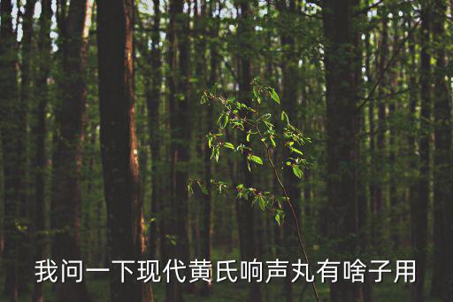 我問一下現代黃氏響聲丸有啥子用