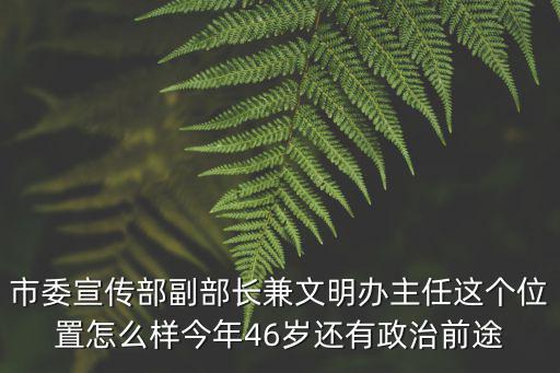 市委宣傳部副部長兼文明辦主任這個(gè)位置怎么樣今年46歲還有政治前途