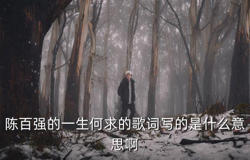 陳百強的一生何求的歌詞寫的是什么意思啊