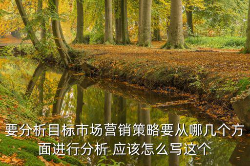 要分析目標市場營銷策略要從哪幾個方面進行分析 應該怎么寫這個