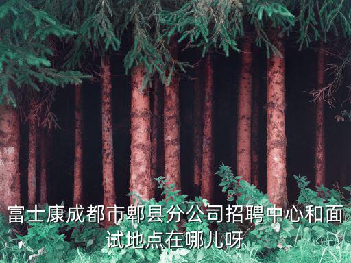富士康成都市郫縣分公司招聘中心和面試地點在哪兒呀