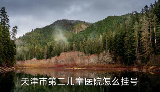 天津市第二兒童醫院怎么掛號