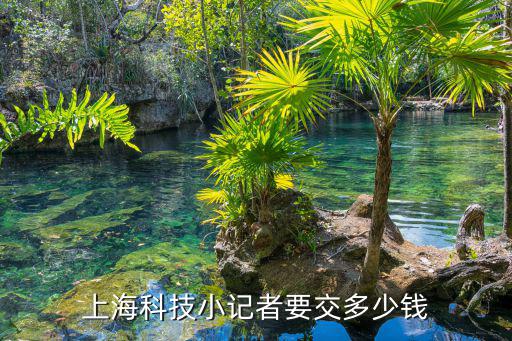 上海科技翻譯協(xié)會(huì)，上海科技小記者要交多少錢