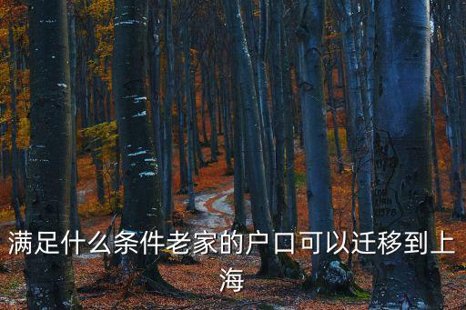 外地戶口轉(zhuǎn)上海戶口條件支，外地戶口轉(zhuǎn)上海戶口的具體條件
