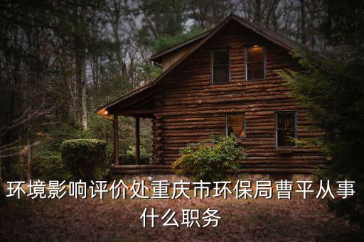 環境影響評價處重慶市環保局曹平從事什么職務