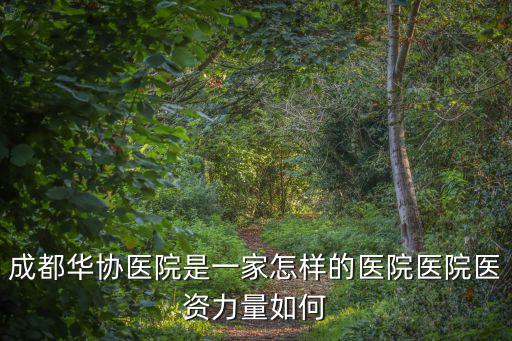 成都華協(xié)醫(yī)院是一家怎樣的醫(yī)院醫(yī)院醫(yī)資力量如何