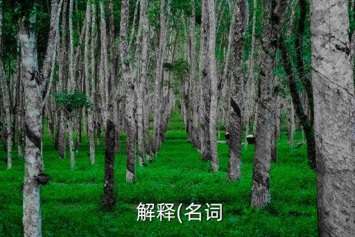  解釋(名詞