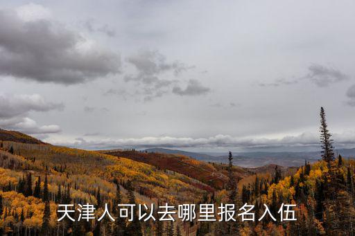 天津市兵役登記實(shí)施辦法，天津市今年當(dāng)兵規(guī)定多少指標(biāo)