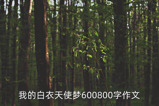 白衣天使的作文，我的白衣天使夢(mèng)600800字作文