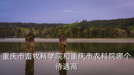 重慶市畜牧科學院和重慶市農科院哪個待遇高