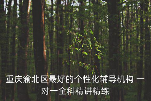 重慶市小學全科教育專業指導，重慶最好的教師輔導全科貴不貴一對一教學效果怎么樣