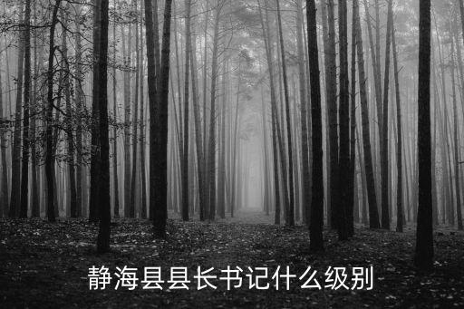 天津市靜海縣縣委書記有姓劉的嗎，靜海縣縣長書記什么級別