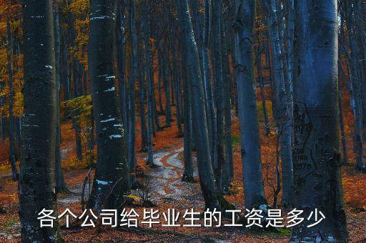 各個公司給畢業生的工資是多少