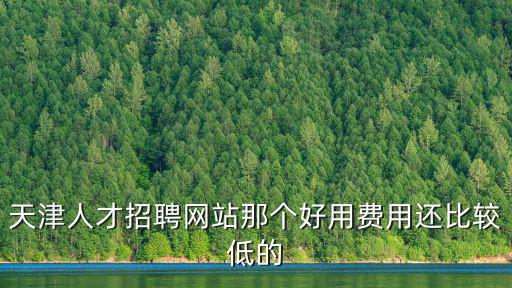 天津人才招聘網站那個好用費用還比較低的