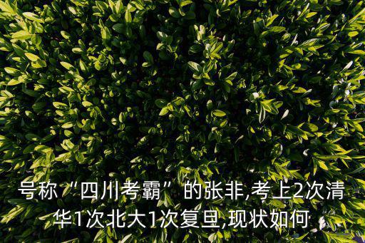 張空谷,四川考霸張飛考上北京復(fù)旦上班