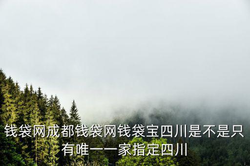 錢袋網成都錢袋網錢袋寶四川是不是只有唯一一家指定四川
