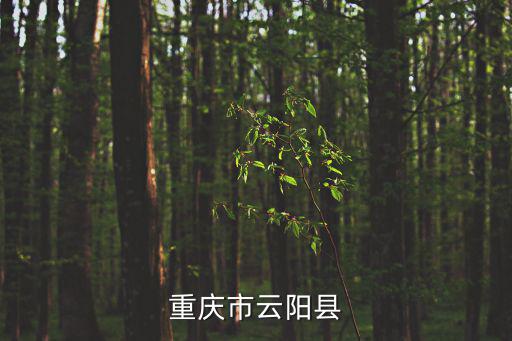 重慶市云陽縣