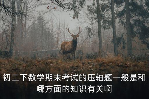 初二下數(shù)學(xué)期末考試的壓軸題一般是和哪方面的知識(shí)有關(guān)啊