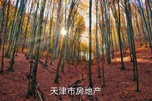 天津市房地產企業協會，天津市房地產