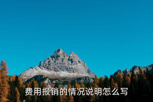 費(fèi)用報(bào)銷的情況說明怎么寫