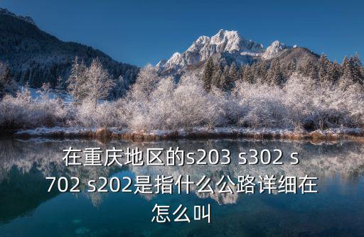 在重慶地區的s203 s302 s702 s202是指什么公路詳細在怎么叫