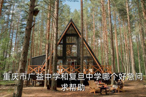 重慶市廣益中學和復旦中學哪個好急問求幫助