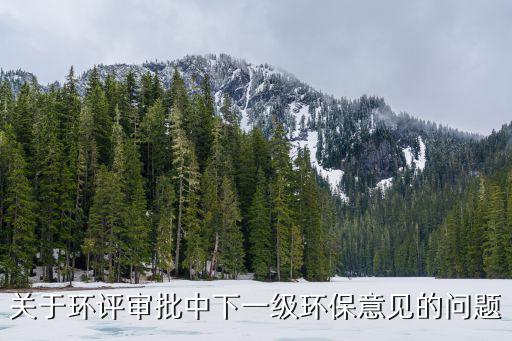 關于環評審批中下一級環保意見的問題