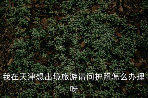 天津市護(hù)照預(yù)約，請(qǐng)問(wèn)天津在哪里辦護(hù)照
