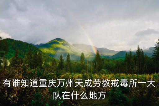 有誰知道重慶萬州天成勞教戒毒所一大隊在什么地方