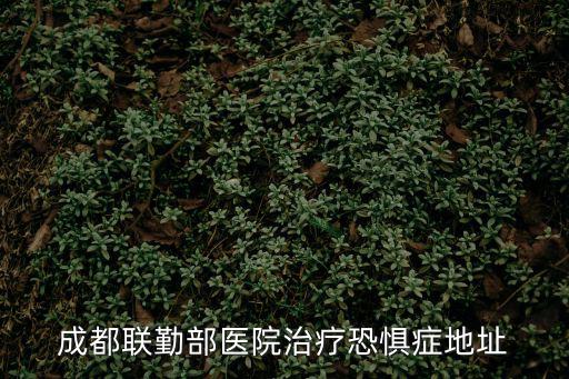 成都聯勤部醫院治療恐懼癥地址